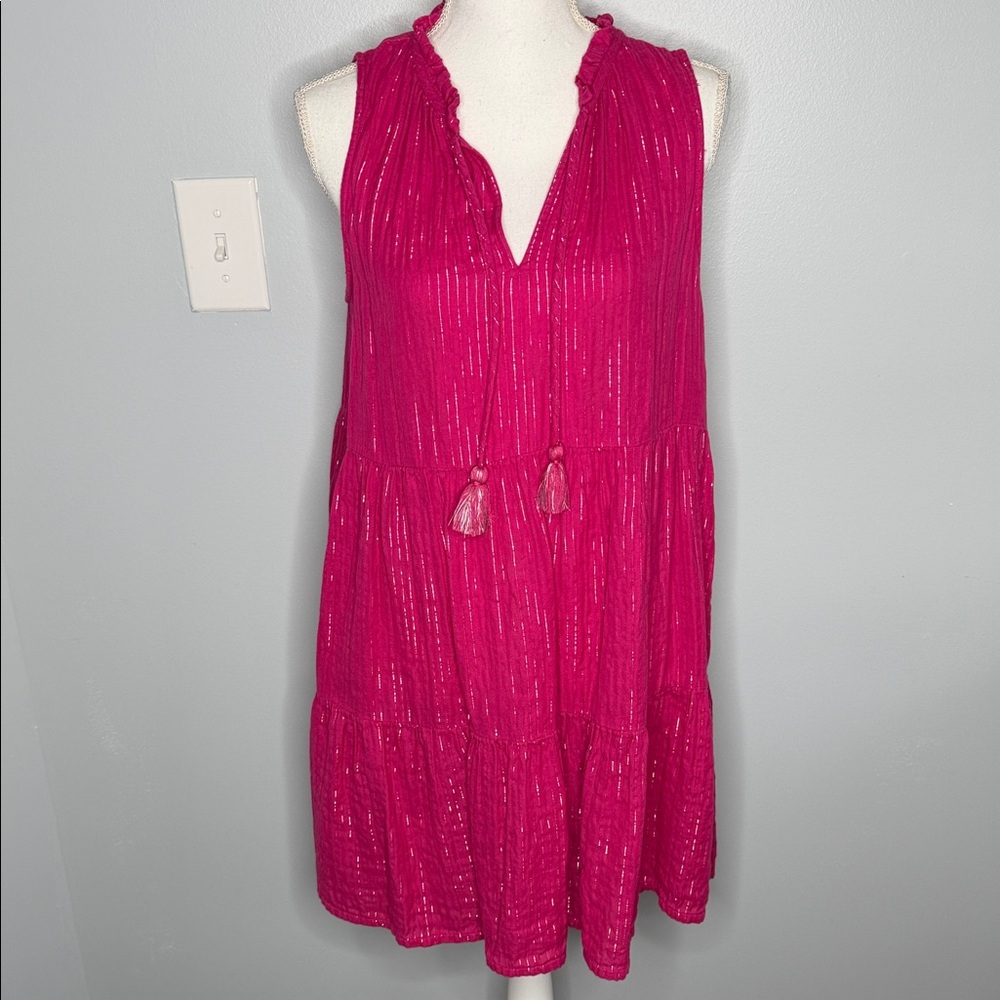 J.Crew Pink and silver Sleeveless Dress with Tassels size Medium